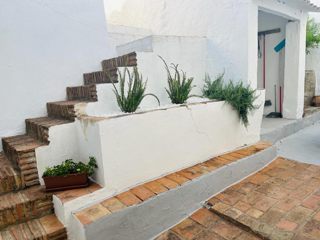 Casa Rural Dona Catalina Jimena De La Frontera Ngoại thất bức ảnh